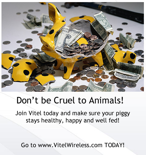 MyViTel tweet picture