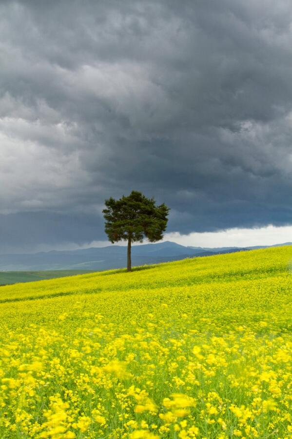 HighTatrasSlova's tweet photo. http://t.co/X5CC9eAP2Z
