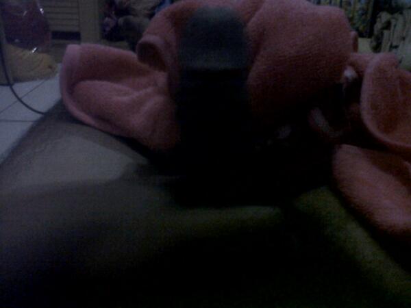 _willy87's tweet photo. Masih lemes http://t.co/KBClNk2Kx7