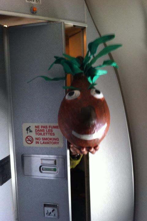 EPOPART's tweet photo. Kiki la graine d'espoir prend l'avion http://t.co/nihSGoCFTa