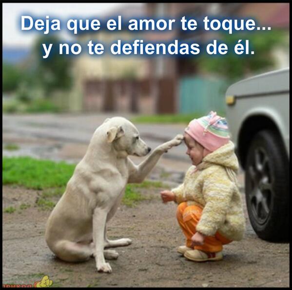 Resultado de imagen para Deja que el amor te toque y no te defiendas de él.