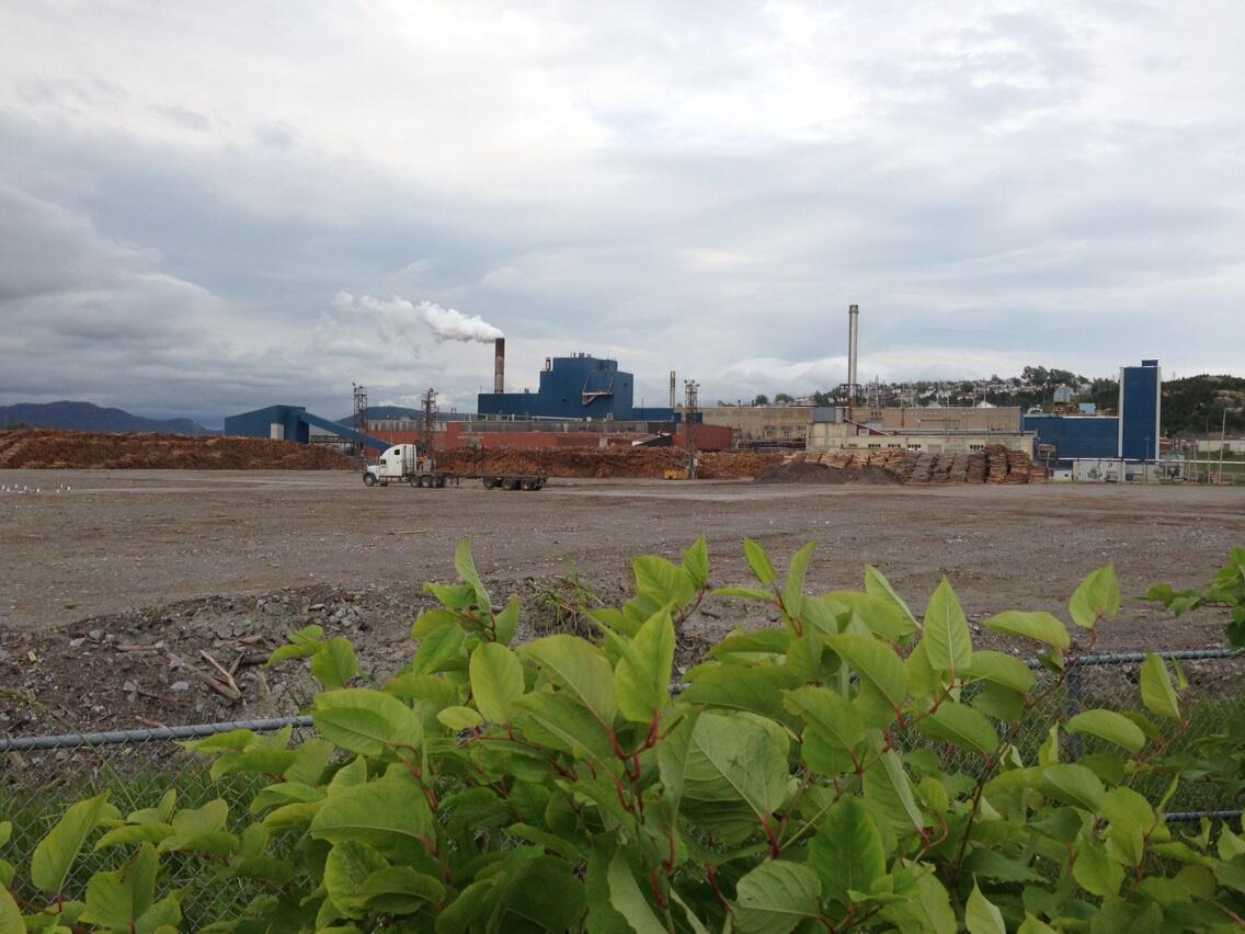 Zach Goudie on Twitter "The Corner Brook paper mill, on a grey