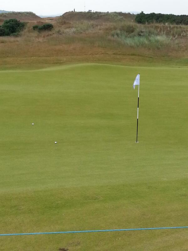 tracy beal tweet media