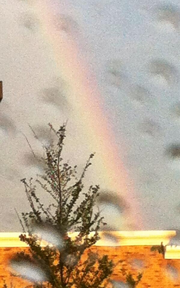 NetForceMedia's tweet image. 