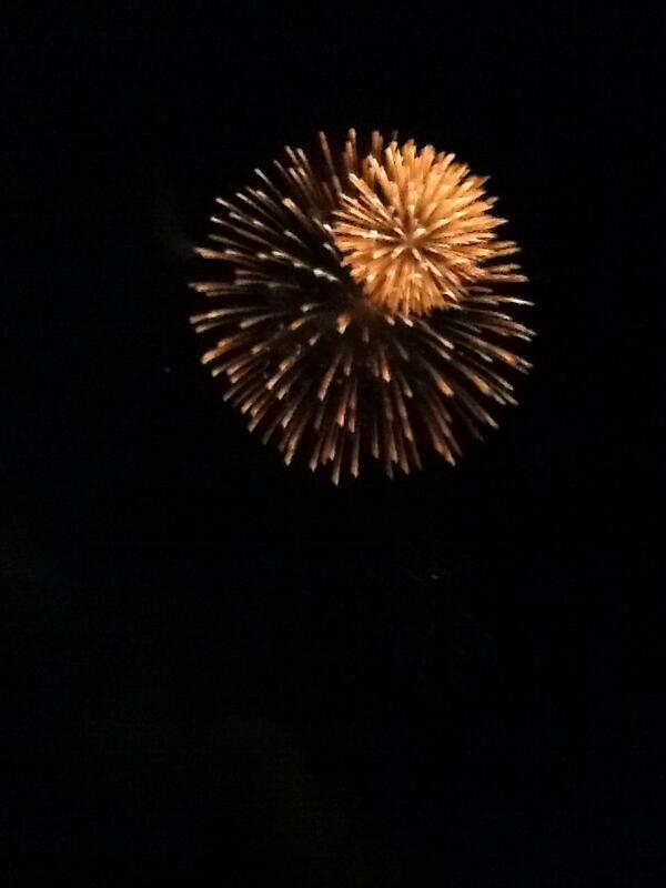 happytinytoad tweet picture