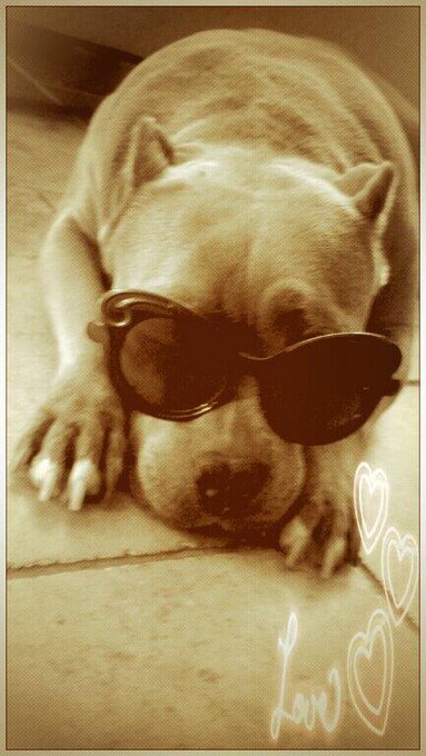 My Jezebelle... doin' it with style! http://t.co/FkHfxMj10k<a href="/tag/datebait"class="tags"><span>#datebait</span></a>