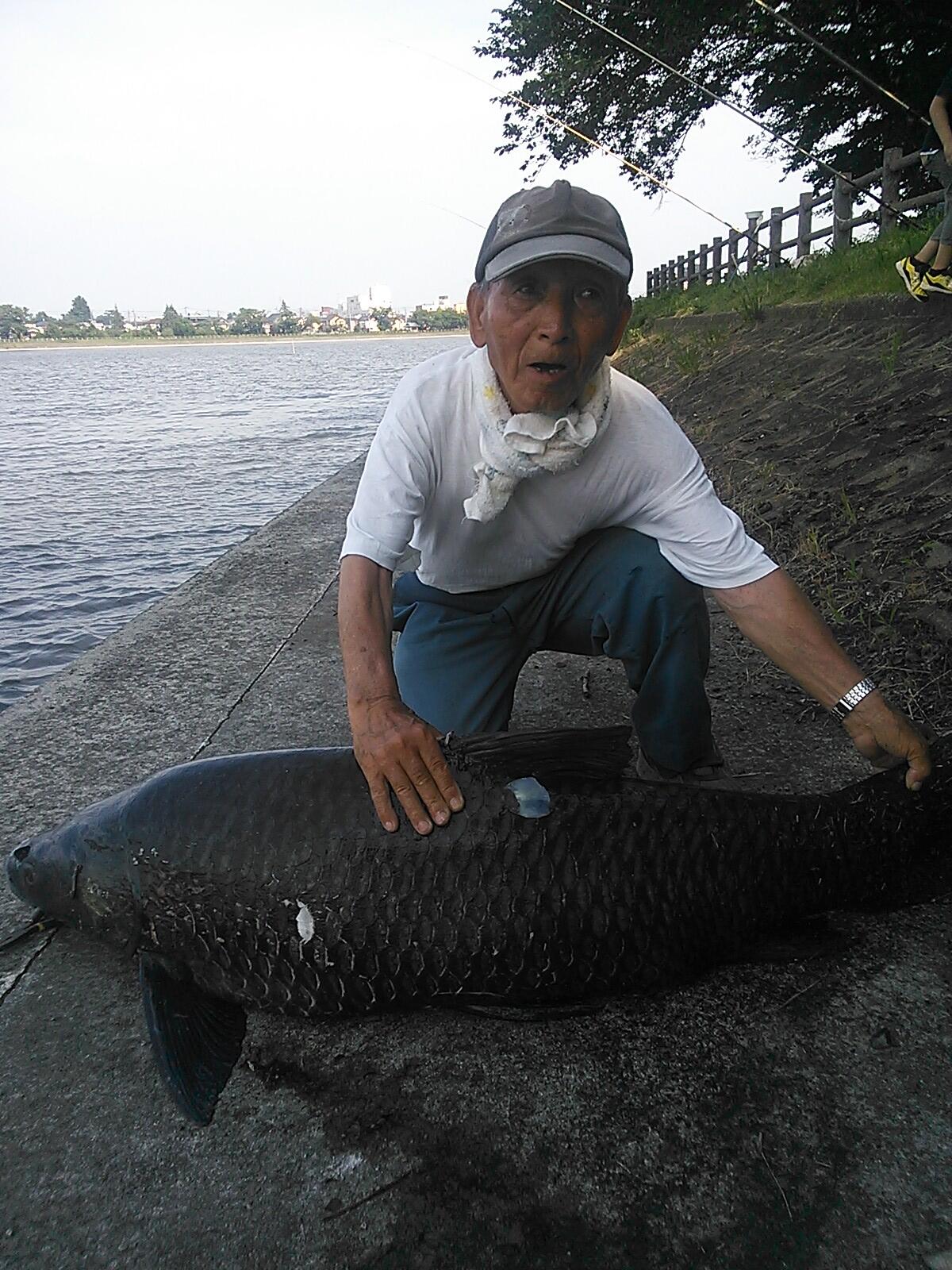 うちやままなぶ 速報 下妻の砂沼で釣り師のおっさんが１ｍ４０センチのアオウオ釣り上げた まじでけー Http T Co Ioe2ydqwfb Twitter
