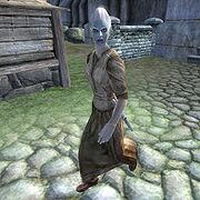 Hieronymus_Lex's tweet photo. Woo! Got an informant in the Thieves Guild. Just you wait, Grey Fox. http://t.co/TcD5wirkT0