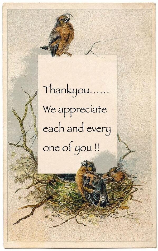 Marjoriedoo Vintage tweet media