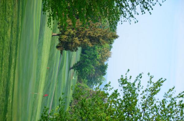 ChqPTGolfCourse tweet picture