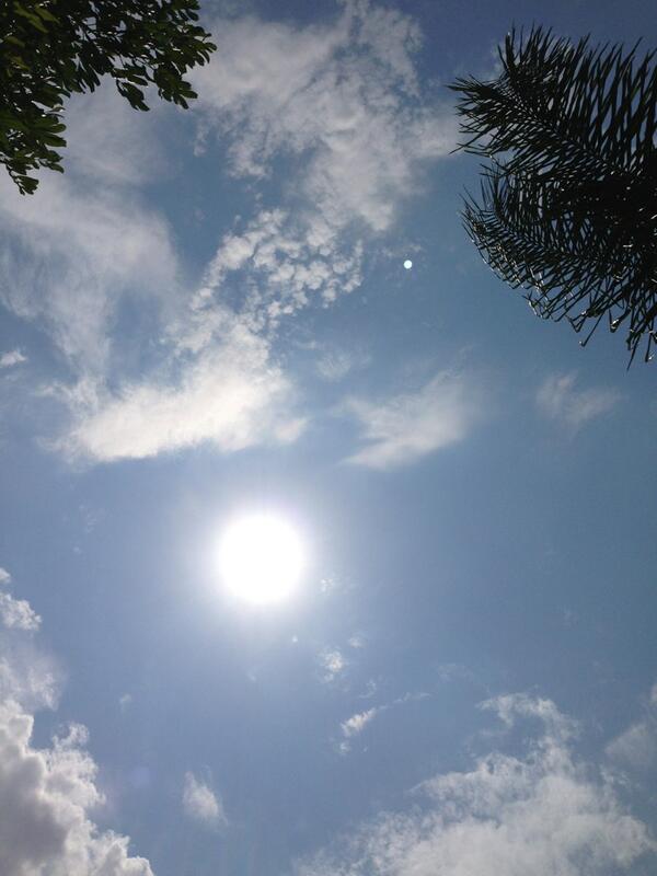 TinaTweets49's tweet image. Who turned up the heat? #itsgettinghotinhere #missingthepool #princessprobz