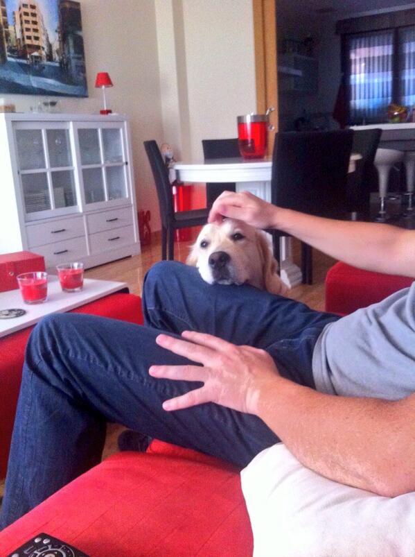 Raquel Esquitino (@raquelesquitino) on Twitter photo 