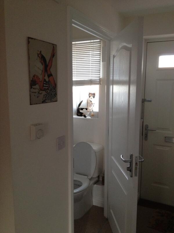 owedwards's tweet image. #WheresPatches. #Catsailing