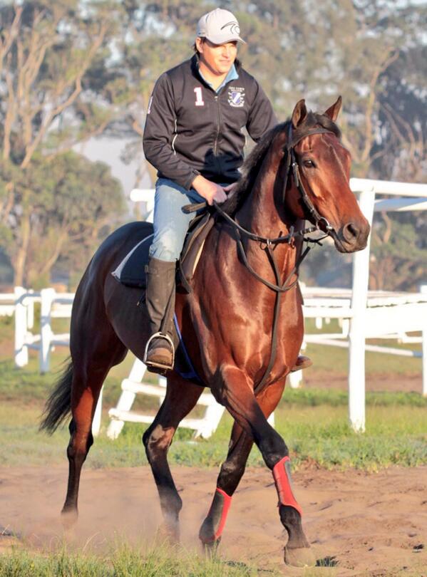 Justin aboard Durban July favourite, Run for It, in final week of preparations. #VDJ2013 <a href="/freemanstallion/">FreemanStallions</a>