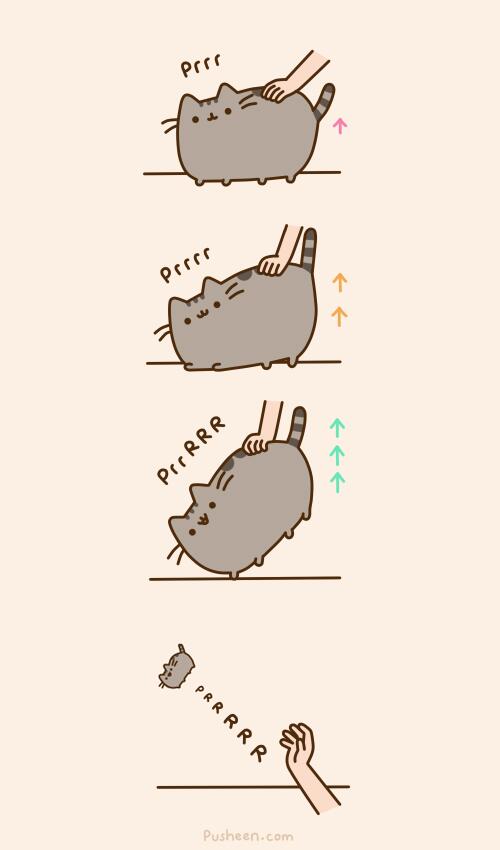 pusheen the cat on twitter quot cat ascension http t christmas haikus