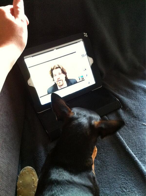 ArienneBlokdijk's tweet image. @CanineScience 
we are watching you !! ;)
Greets from Holland!!
#SPARCS2013