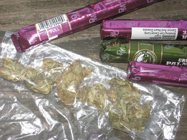 WonderBoyLover's tweet image. #RegularShit Bitch we off the shits