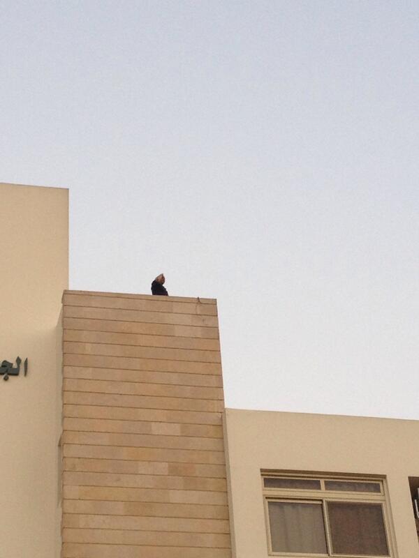 Army officer salutes the protesters from the roof of an army hospital. People went wild. #Jun30