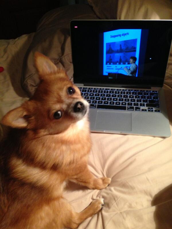 SKalnajs's tweet image. Gidget watching Miklosi explain how her mind might work #SPARCS2013