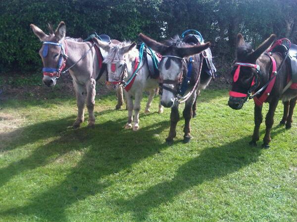 We had a fantastic time <a href="/BnorthCarnival/">Bridgnorth Carnival</a> so glad to be part of such a brilliant day :-)