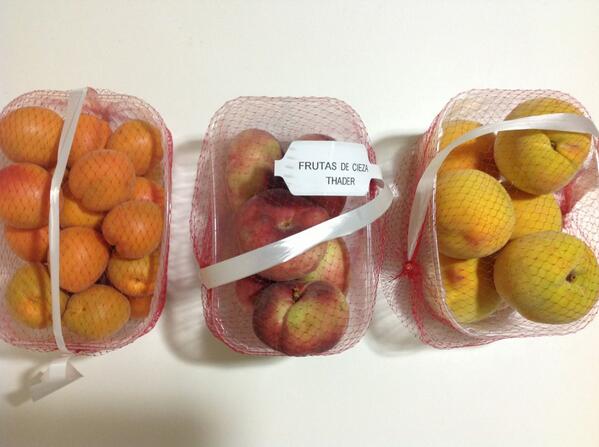 MurciaEsDeporte's tweet photo. Fruta regalada por @CD_Cieza a jugadores, directiva y afición del Compostela. De #Cieza, #Murcia, la mejor de Europa http://t.co/akymdT8ZQj