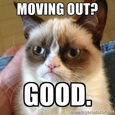 easymoving1 tweet picture