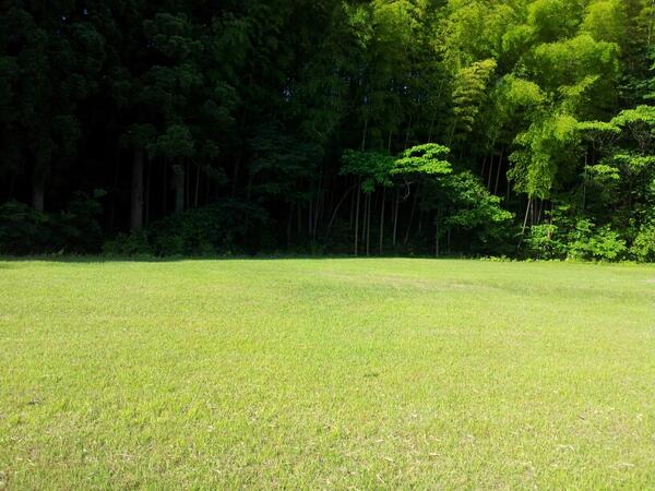 katukuru's tweet photo. @CorOfTheSUN おはようございます。今朝はとてもよく晴れて、清々しい朝をむかえています。 http://t.co/60tgmoEPs2