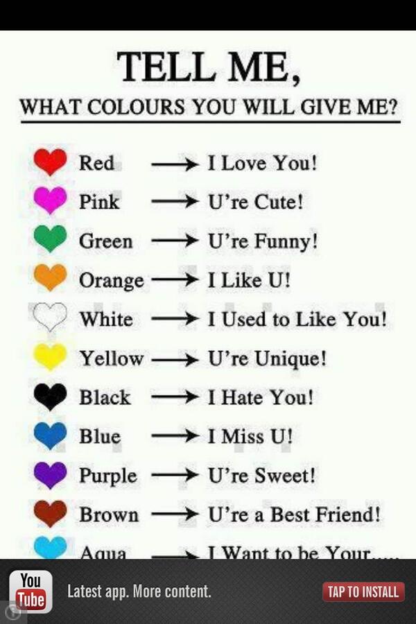 nicole grisel (@griselnicole) on Twitter photo 