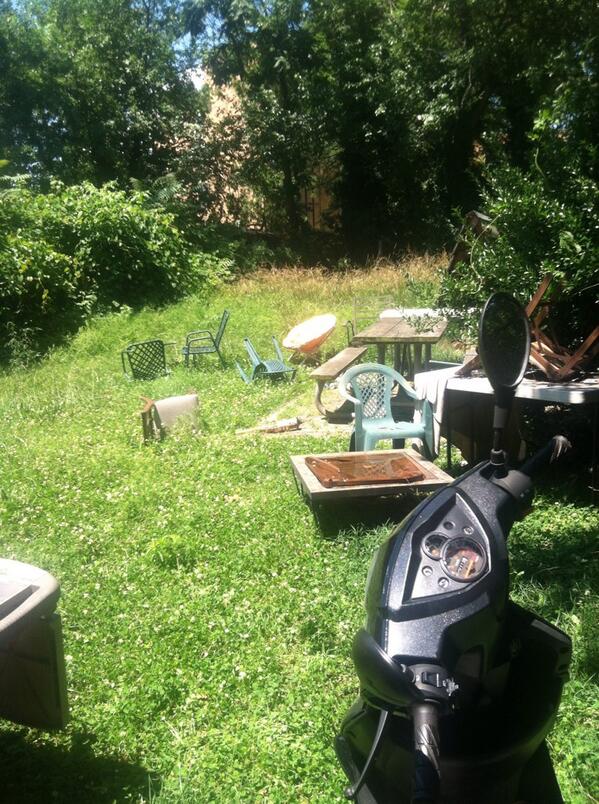 BloTis1's tweet photo. Blotis backyard lookin like Vietnam #warzone #tallgrass #treadlightly http://t.co/BU6A7PmlQ8