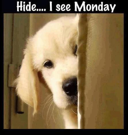 Similarsites's tweet photo. Monday... http://t.co/NaJ6a48837