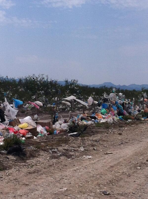 HASAR'S GRUPO ECO tweet media