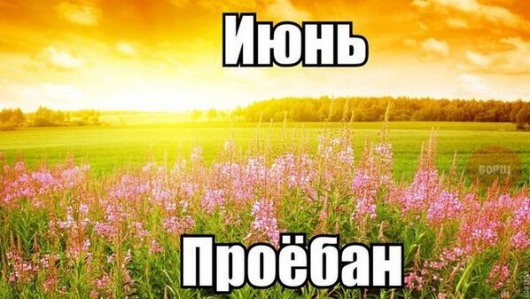 https://pbs.twimg.com/media/BOES7yOCQAIGiTc.jpg