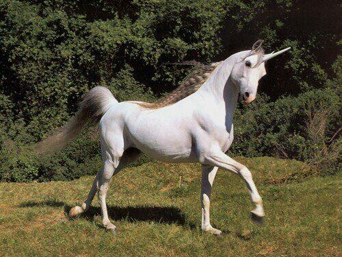 MissR_Grant's tweet photo. "@PerezHilton: I'm horny! http://t.co/cAxT3hqtOa" @Brooksanneka