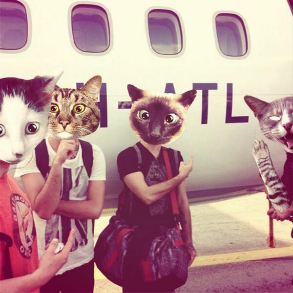 Thought this was appropriated. See you in hamburg! <a href="/AllTimeLow/">All Time Low</a> @AlexAllTimeLow <a href="/zackalltimelow/">Zachary Merrick</a>  <a href="/JackAllTimeLow/">OLD - Jack Barakat</a>