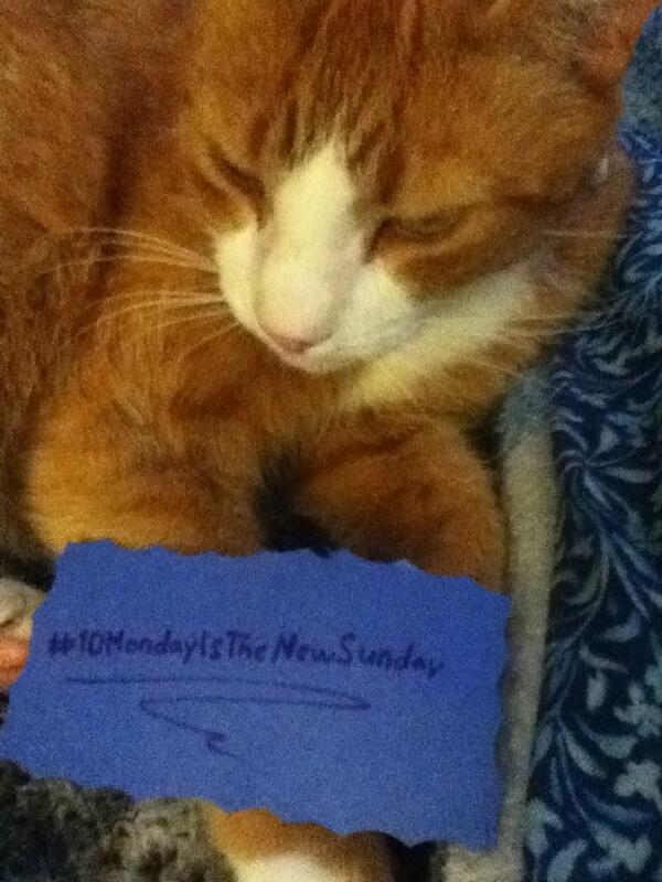 1Dbromancercute's tweet image. @onedirection #1DMondayIsTheNewSunday