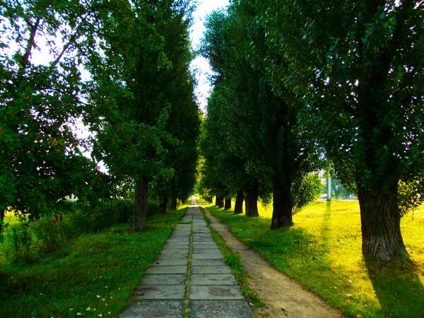 w_o_com's tweet photo. Photo from our follower http://t.co/Se69MuoHCy
