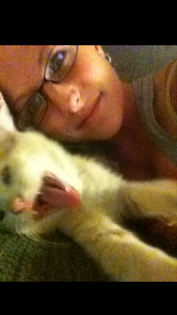 kudel181's tweet photo. @catsofinstagram http://t.co/E9MGe96HEU