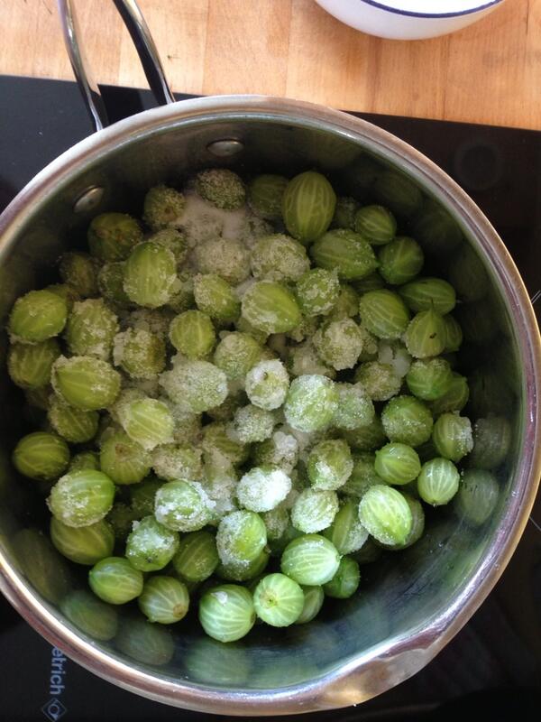 tiredandtested's tweet photo. Home grown gooseberries yay http://t.co/wRkSpjuMZc