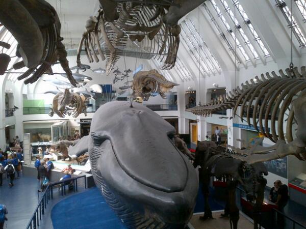 Auke Moonen tweet media