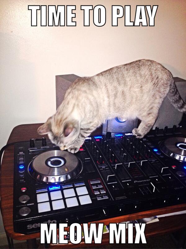 Official_Malibu's tweet photo. Scratching up my favorite song. http://t.co/KbqFZFMU5h