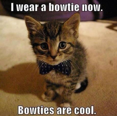 bbcwhovian's tweet photo. I wear a bowtie now, bowties are cool #doctorwho https://t.co/fkSxtYShqL