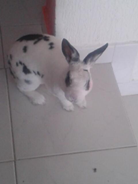 alonso0003's tweet photo. Aquí cuidando a mi hijo ;) http://t.co/jte7tfTwS1