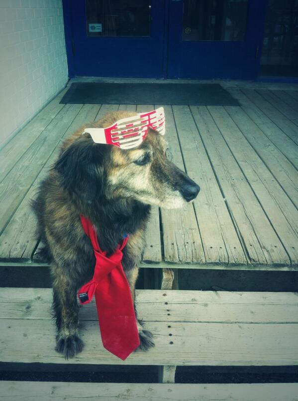 Tyler Peat tweet media