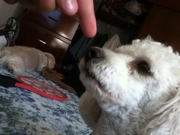RiosElpato's tweet photo. Una mordelona y otra gorda http://t.co/0QxLAGkyOj