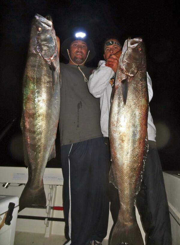 SeasonsFishing's tweet photo. Captain Duane has been on the BIG seabass this week and has a open party trip with (2) spots departing this Tuesday!! http://t.co/c5LmUnGXd3
