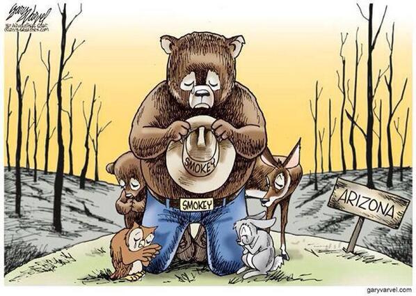 brewmama's tweet photo. such a tragedy RT: "@smokey_bear: How I feel right now. #azfire #hotshots #wildfires http://t.co/KTnfkwIpog"