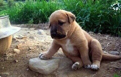 pps88881's tweet photo. 오늘은 또 어떤일이? http://t.co/Pd3kaNk0Ij