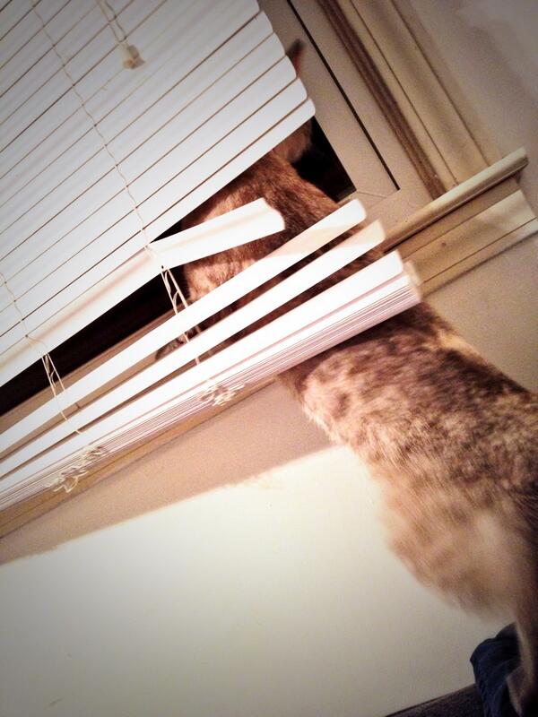 Official_Malibu's tweet photo. Was suppose to go out tonight but dad caught me sneaking out. http://t.co/KP9kEKkE3A
