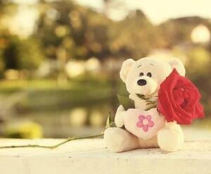 PromilOnam tweet picture