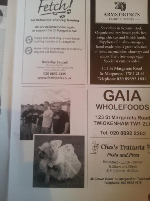 LauraGoldup's tweet image. When you're reading your local fair magazine and you discover a picture of your puppy in her fairy costume #famous